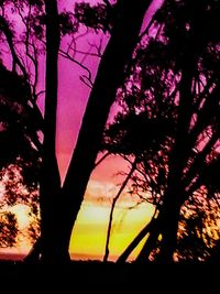 Silhouette of trees against sky at sunset