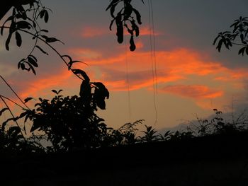 Silhouette tree against orange sky