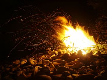 Firework display at night