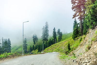 Road amidst trees against clear sky