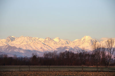 Scenic view of field against clear sky