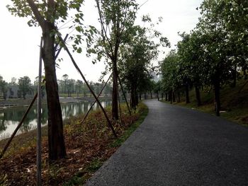 Road amidst trees against sky