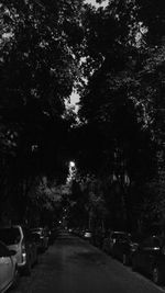 Road amidst trees against sky