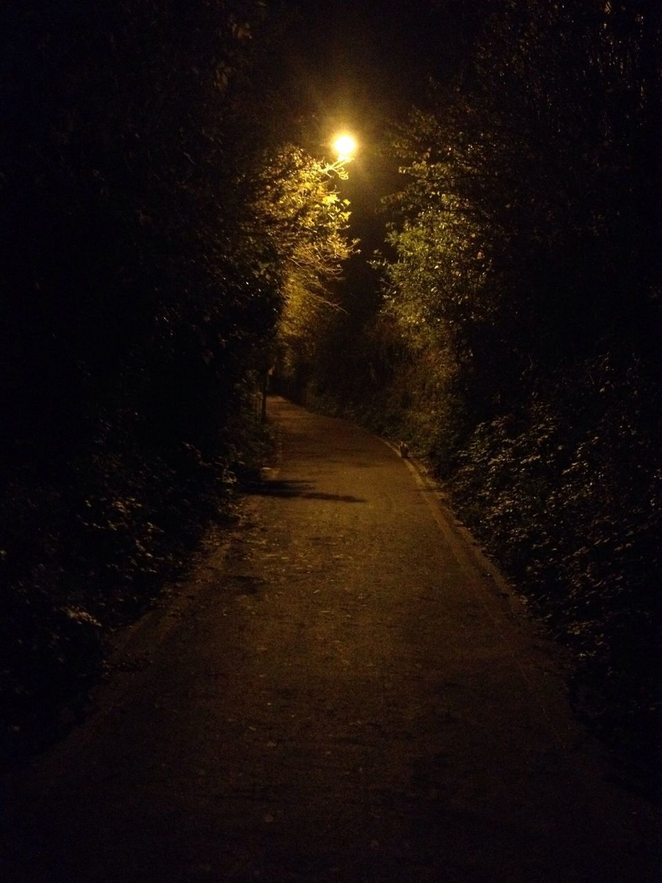 the way forward, night, illuminated, diminishing perspective, street light, vanishing point, tree, street, road, transportation, lighting equipment, dark, empty road, narrow, outdoors, tranquility, footpath, nature, pathway, long