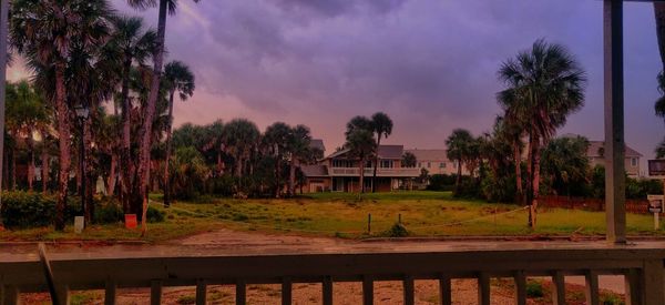 Trees and houses against sky at dusk