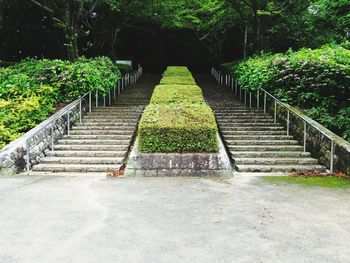 Steps amidst trees in park