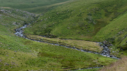 High angle view of river amidst green landscape