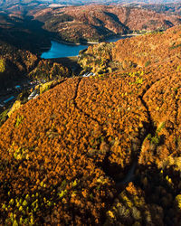 Autumn forest with a lake in the background