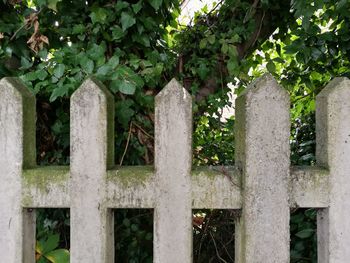 Close-up of cemetery