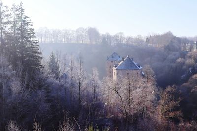 winter