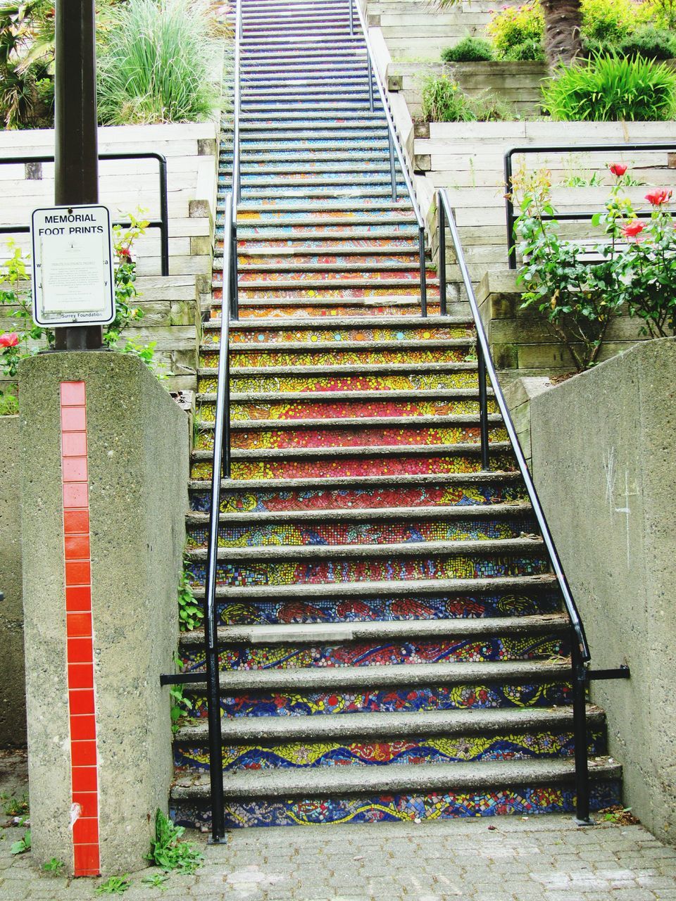 steps, railing, plant, growth, steps and staircases, tree, outdoors, staircase, sunlight, park - man made space, day, no people, building exterior, fence, built structure, grass, bench, footpath, sidewalk, absence