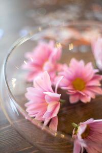 Close-up of pink flower on table