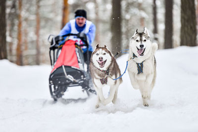 Man with dog in snow