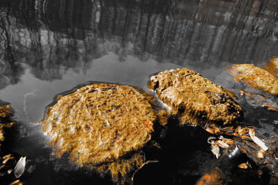 High angle view of rocks in lake