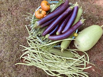 High angle view of fresh vegetables in container