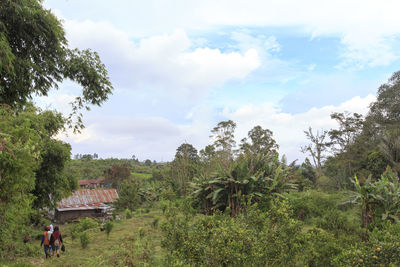 Scenic view of trees and houses against sky