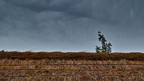 Hay bales on field against sky