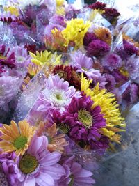 Close-up of purple flowers