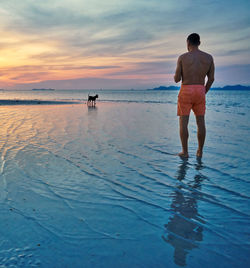 Rear view of man standing at beach against sky during sunset