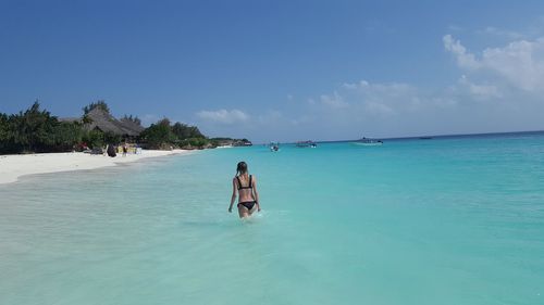 Rear view of young woman walking in sea against blue sky during sunny day