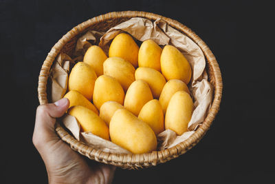 Close-up of hand holding fruits