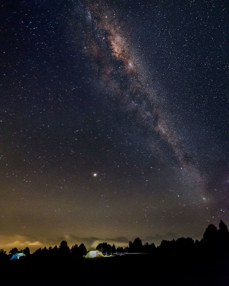 night, sky, star - space, beauty in nature, scenics - nature, tranquility, space, tranquil scene, astronomy, silhouette, nature, galaxy, no people, star, idyllic, star field, tree, plant, landscape, environment, outdoors, milky way, dark