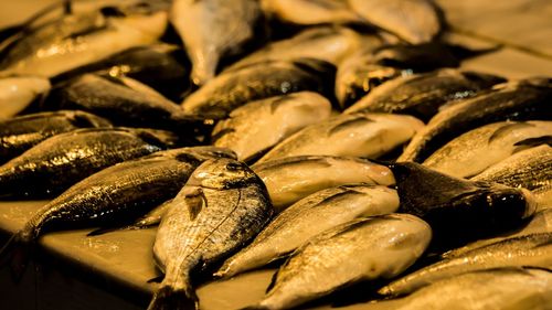 Close-up of fish for sale