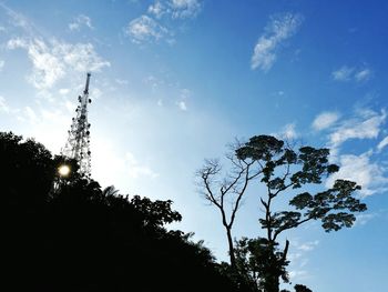 Low angle view of trees against blue sky