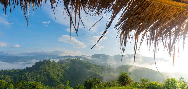 Panoramic view of trees and mountains against sky