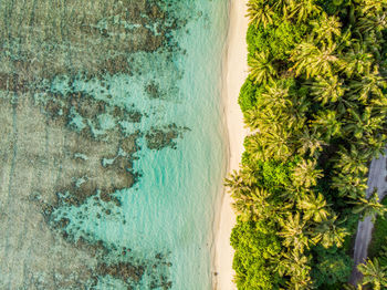 High angle view of swimming pool on beach