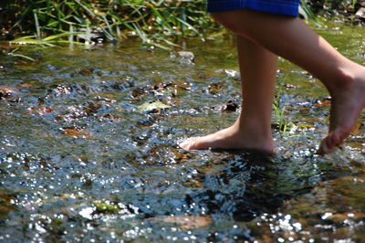 Low section of person standing in stream