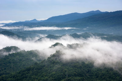 Beautiful mist over green forest on mountain, aerial view sunrise over the mountain range thailand, 