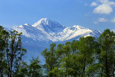 Low angle view of snowcapped mountains against clear blue sky