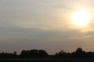 Silhouette trees on field against sky at sunset