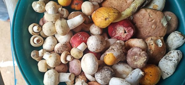 High angle view of mushrooms in container on table