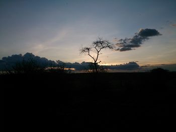 Silhouette of bare trees against sky at sunset