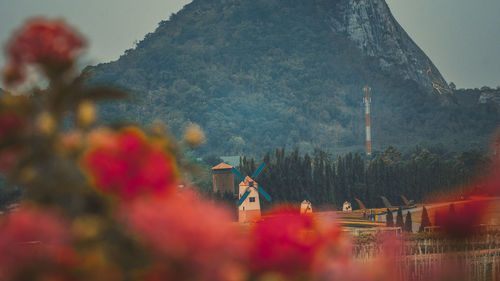 Panoramic view of trees and mountains against sky