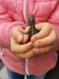 Lizard in the hands of a little girl children are not afraid of anything