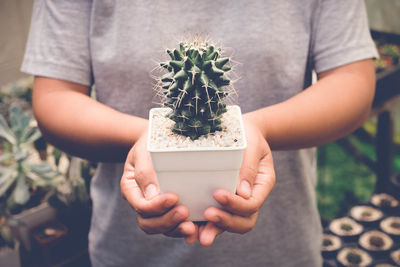 Close-up of hand holding potted plant