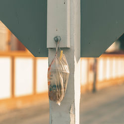 Close-up of glass hanging against wall