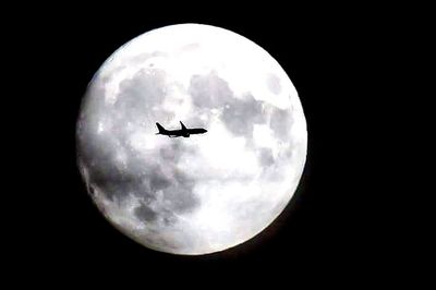 Low angle view of silhouette bird flying against sky at night