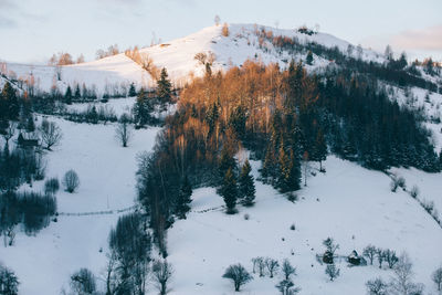 Trees on snow covered landscape against sky