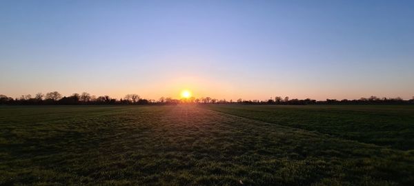 Scenic view of field against clear sky during sunset