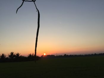 Silhouette trees on field against sky during sunset