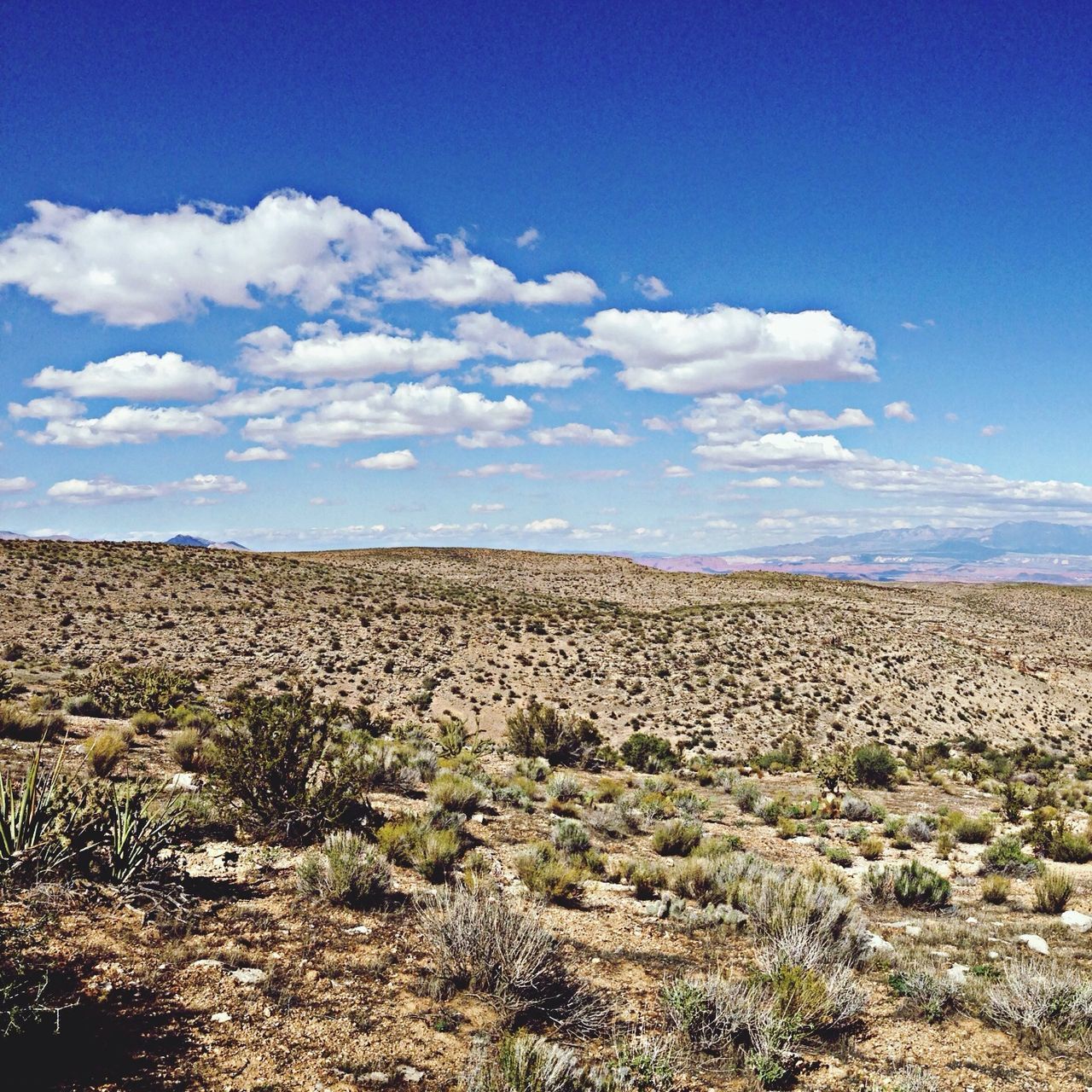 Southern Utah 