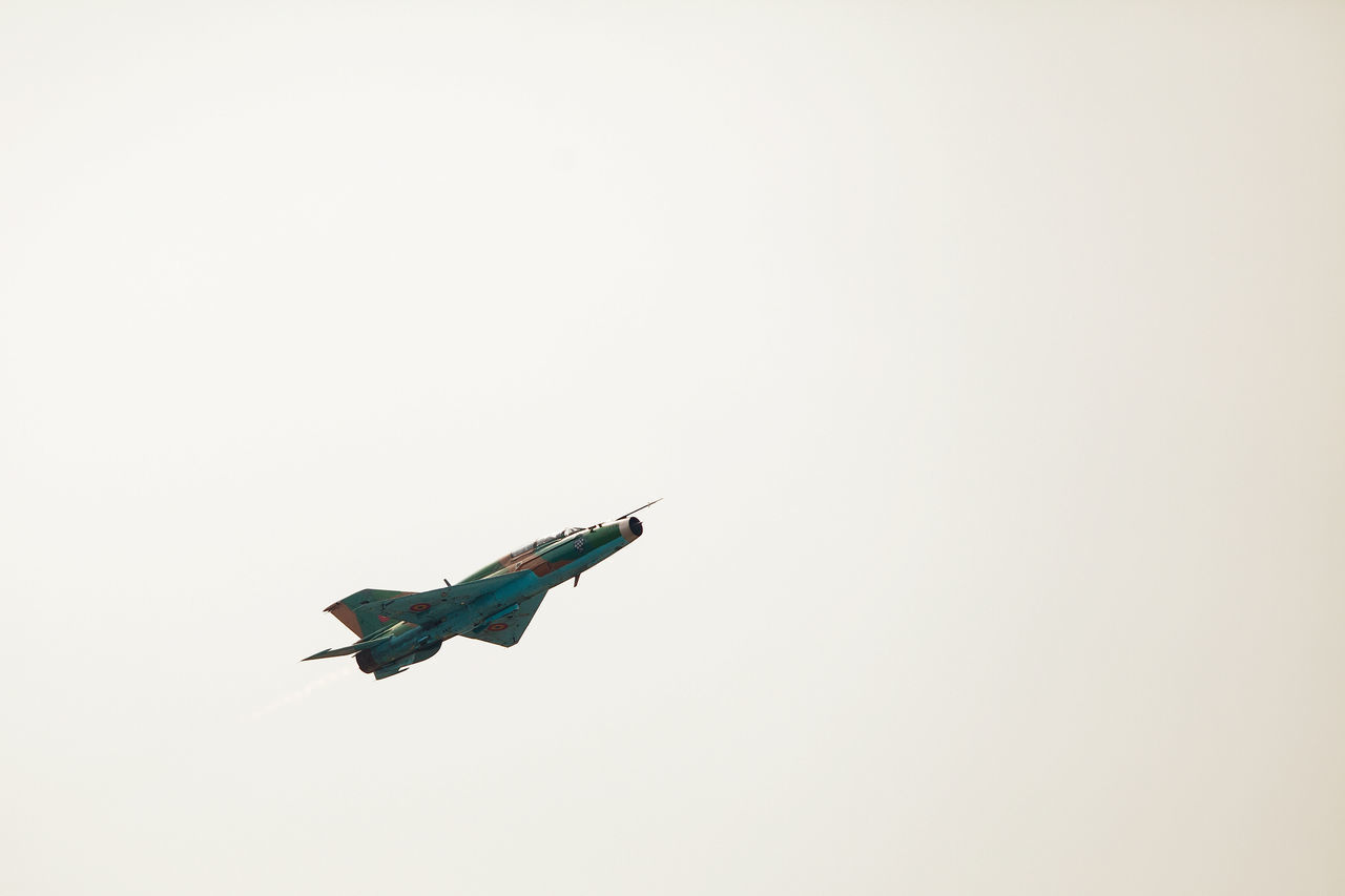 LOW ANGLE VIEW OF BIRD FLYING IN SKY