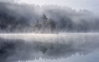 Trees by lake against sky during foggy weather