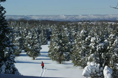 Person trekking through high snow covered field