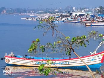 Fishing boats moored at harbor against sky