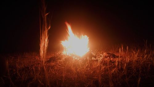 Bonfire on field against sky at night